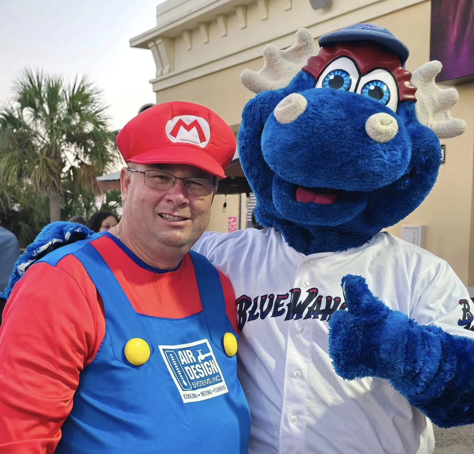 <strong>Blue Wahoos Minor League Baseball Team</strong>