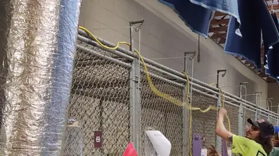 Santa Rosa County Animal Shelter Photo